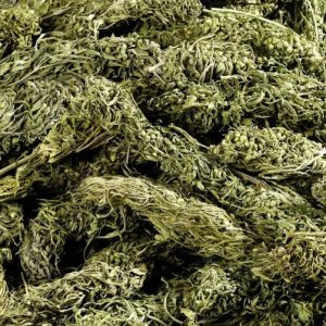hemp flower buds hemp flower buds